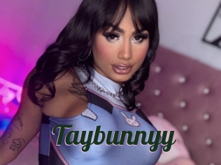 Taybunnyy