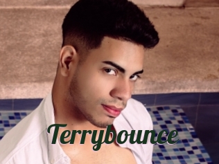 Terrybounce