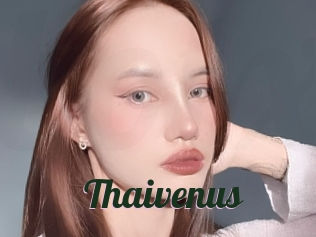 Thaivenus