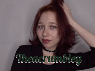 theacrumbley Bottin X