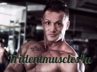 Tridentmuscles4u