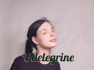 Udelegrine