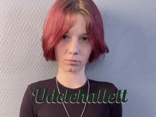 Udelehallett