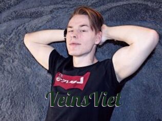 VeinsViet