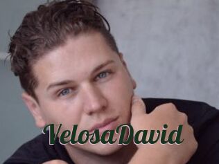 VelosaDavid