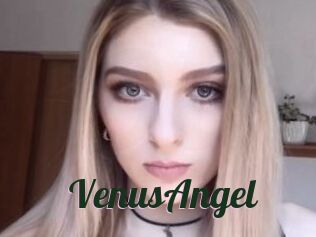 VenusAngel