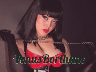 VenusBorthune