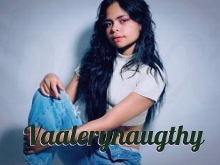 Vaalerynaugthy