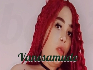 Vanesamude