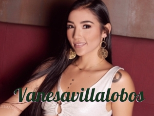 Vanesavillalobos