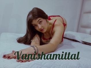 Vanishamittal