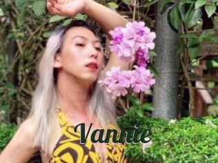 Vannie