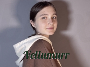 Vellumurr