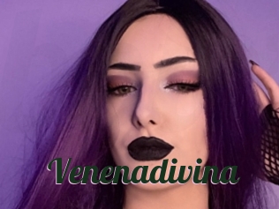 Venenadivina