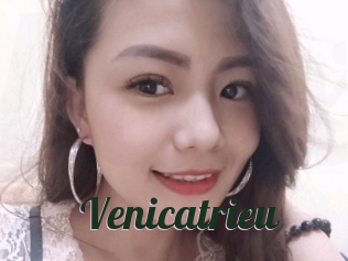 Venicatrieu