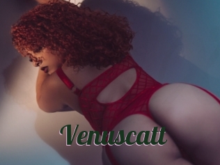 Venuscatt