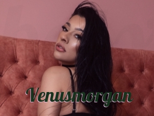 Venusmorgan