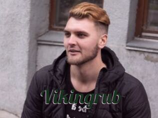 Vikingrub