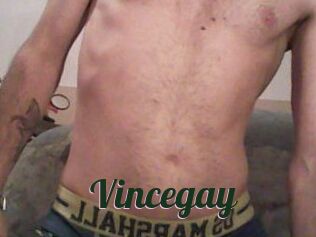 Vincegay