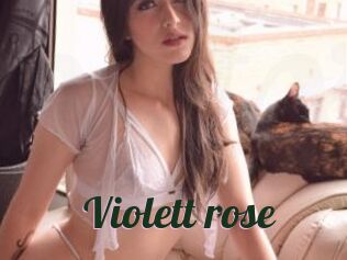 Violett_rose