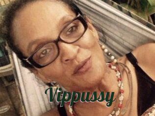 Vippussy