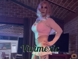 vivimexic Bottin X