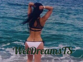 WetDreamsTS