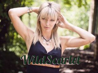 WildScarlet