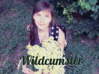 Wildcumster