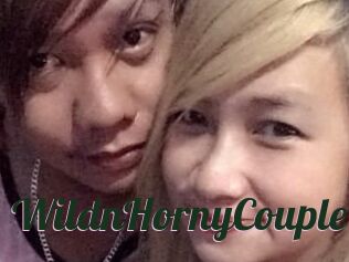 WildnHornyCouple