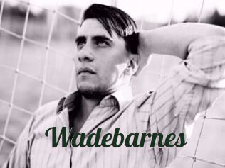 Wadebarnes