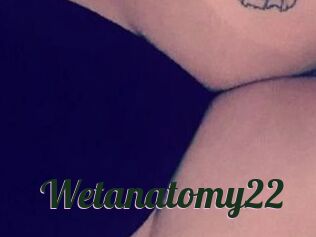 wetanatomy22 Bottin X