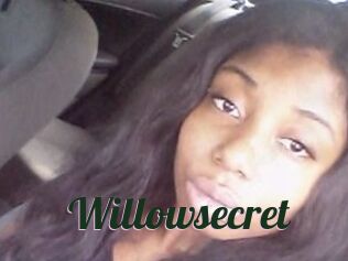 Willow_secret