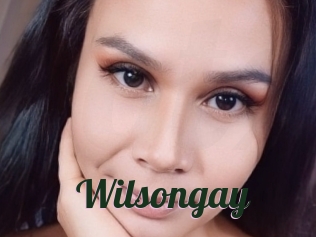 Wilsongay