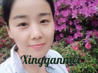 Xingganmei