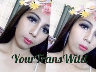 YourTransWild