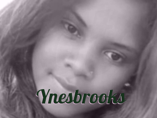 Ynesbrooks