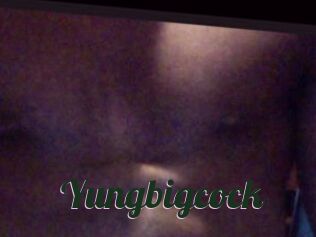 Yungbigcock